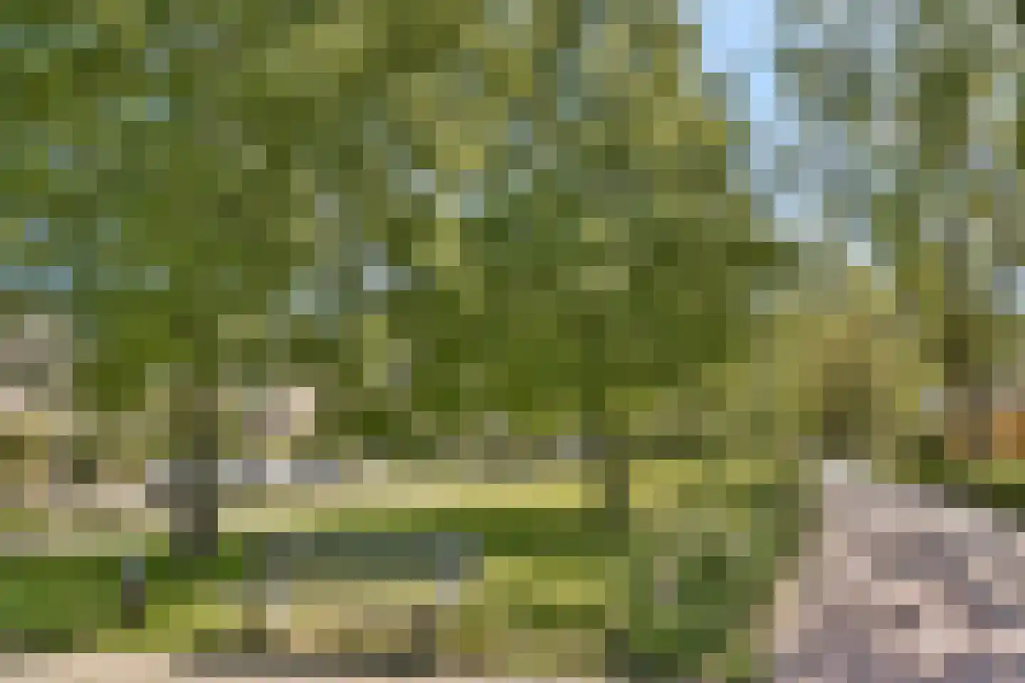 Johan Willem Frisolaan 42 Vlaardingen thumbnail 41