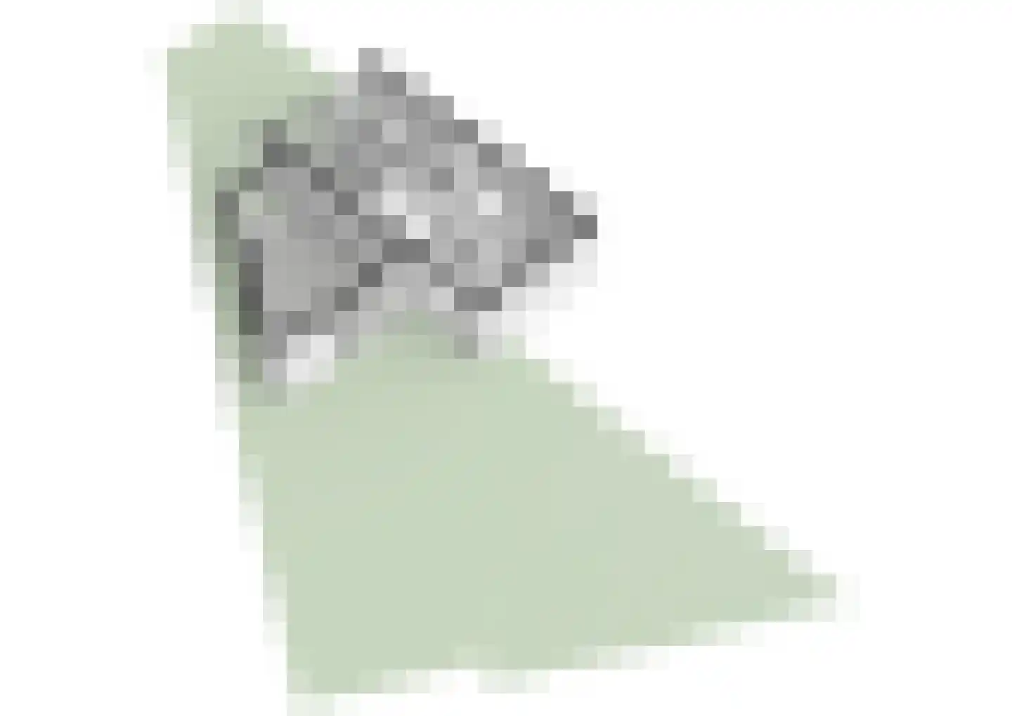 Johan Willem Frisolaan 42 Vlaardingen thumbnail 47
