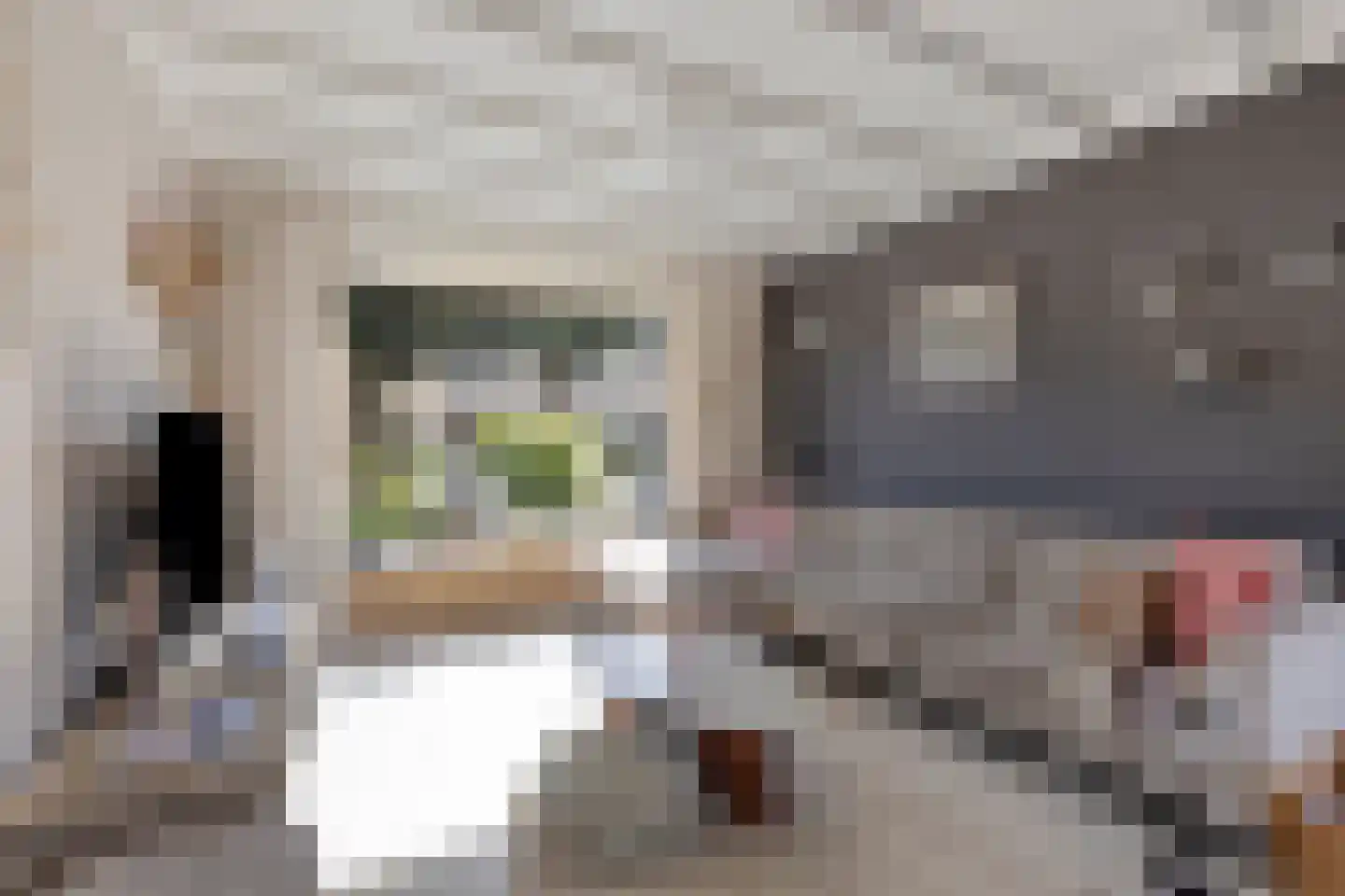 Johan Willem Frisolaan 42 Weert thumbnail 9