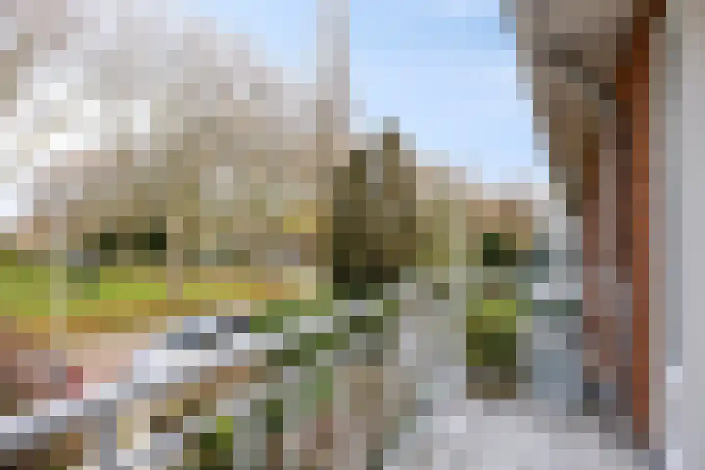 Johan Willem Frisolaan 51 Voorschoten thumbnail 52