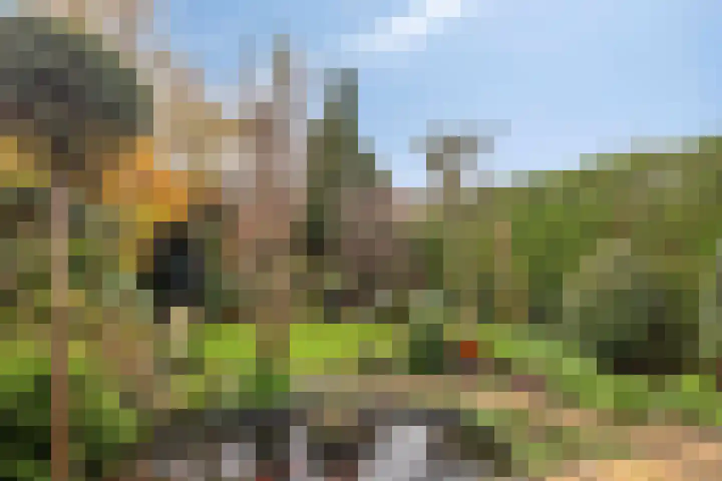 Johan Willem Frisolaan 51 Voorschoten thumbnail 6