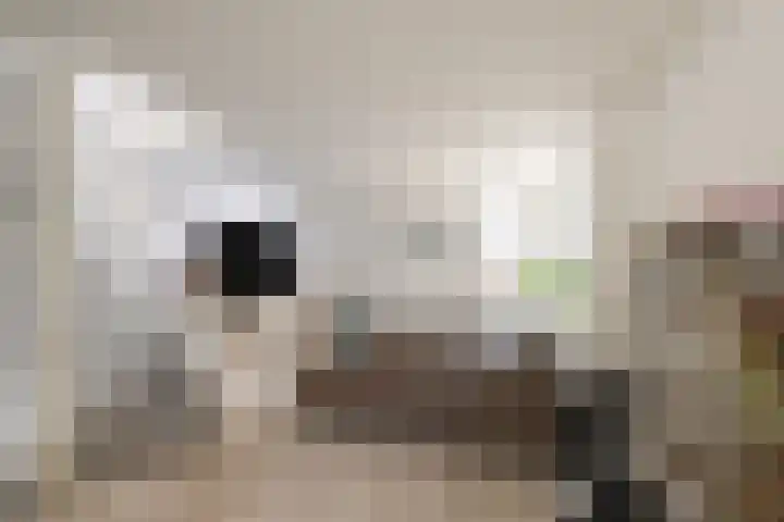 Johan Willem Frisolaan 52 Vlaardingen thumbnail 13