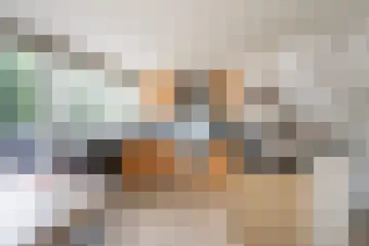 Johan Willem Frisolaan 52 Vlaardingen thumbnail 17