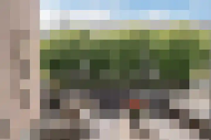 Johan Willem Frisolaan 52 Vlaardingen thumbnail 19
