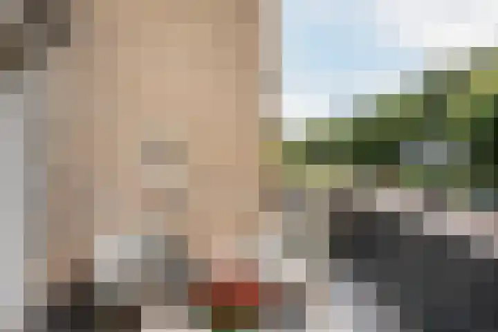 Johan Willem Frisolaan 52 Vlaardingen thumbnail 20