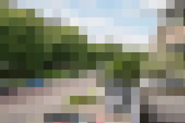 Johan Willem Frisolaan 52 Vlaardingen thumbnail 21