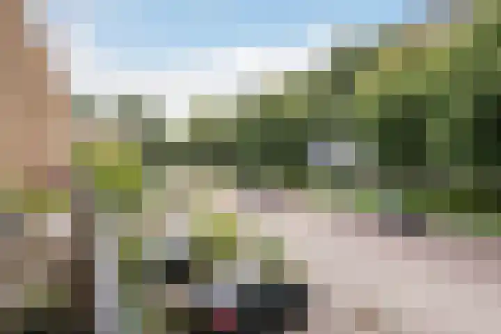 Johan Willem Frisolaan 52 Vlaardingen thumbnail 22