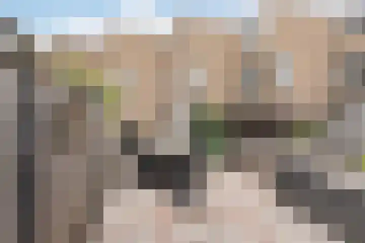 Johan Willem Frisolaan 52 Vlaardingen thumbnail 29