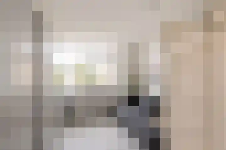 Johan Willem Frisolaan 52 Vlaardingen thumbnail 33