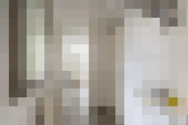 Johan Willem Frisolaan 52 Vlaardingen thumbnail 8