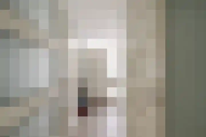 Johan Willem Frisolaan 52 Vlaardingen thumbnail 9