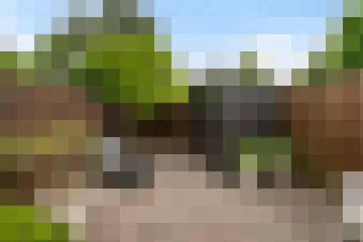 Johan Willem Frisolaan 66 Vlaardingen thumbnail 17
