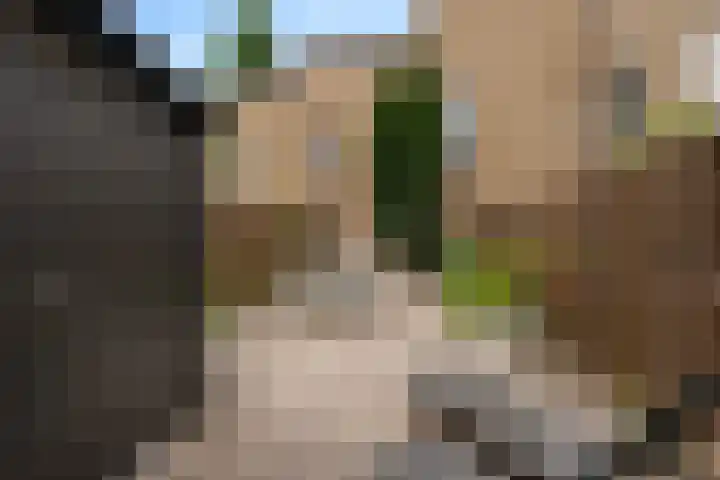 Johan Willem Frisolaan 66 Vlaardingen thumbnail 18
