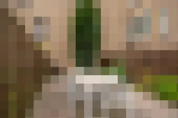 Johan Willem Frisolaan 66 Vlaardingen thumbnail 19