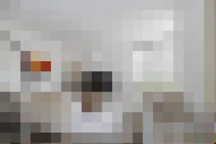 Johan Willem Frisolaan 66 Vlaardingen thumbnail 20