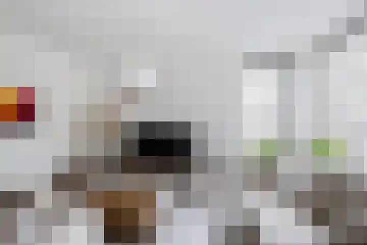 Johan Willem Frisolaan 66 Vlaardingen thumbnail 21