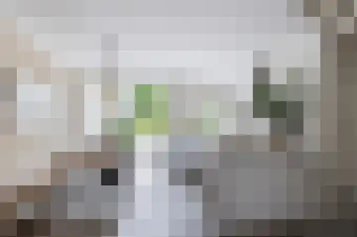 Johan Willem Frisolaan 66 Vlaardingen thumbnail 25