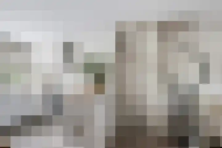 Johan Willem Frisolaan 66 Vlaardingen thumbnail 26