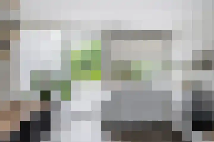 Johan Willem Frisolaan 66 Vlaardingen thumbnail 27