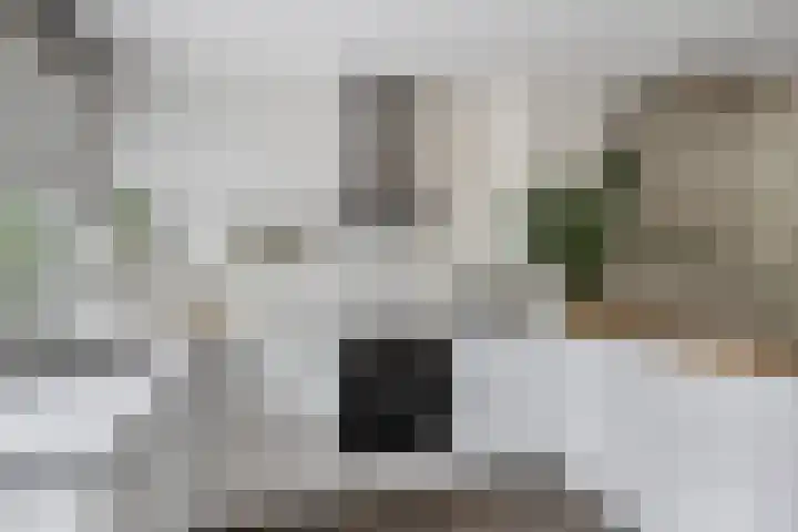 Johan Willem Frisolaan 66 Vlaardingen thumbnail 28