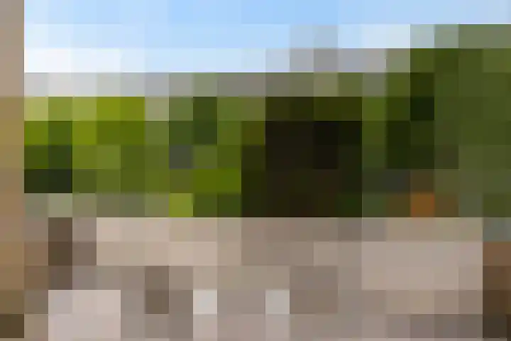 Johan Willem Frisolaan 66 Vlaardingen thumbnail 30