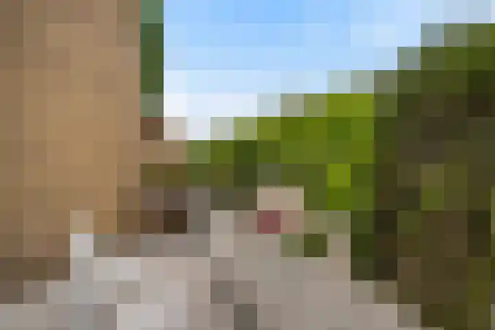 Johan Willem Frisolaan 66 Vlaardingen thumbnail 31