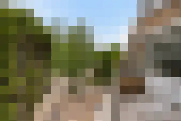 Johan Willem Frisolaan 66 Vlaardingen thumbnail 32