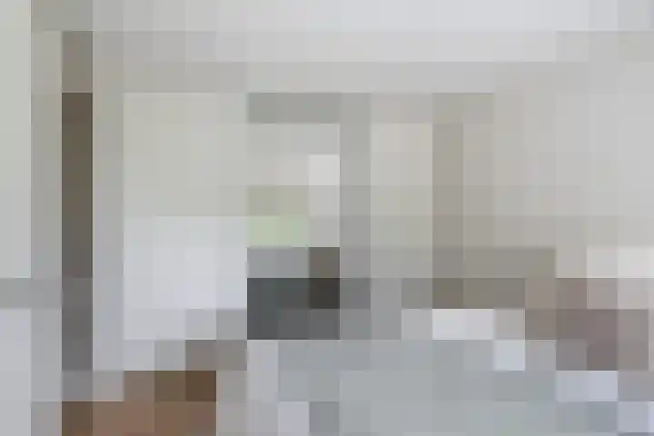 Johan Willem Frisolaan 66 Vlaardingen thumbnail 37