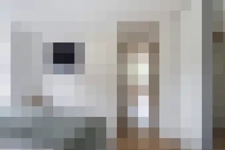 Johan Willem Frisolaan 66 Vlaardingen thumbnail 38