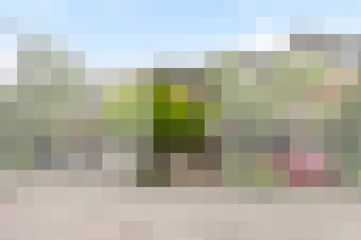 Johan Willem Frisolaan 66 Vlaardingen thumbnail 4