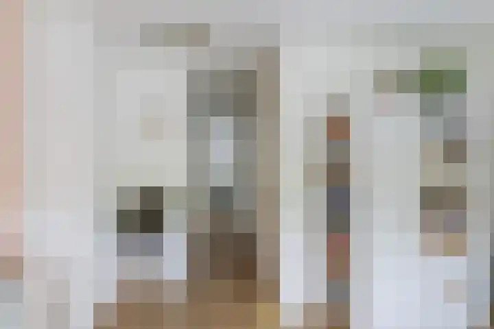 Johan Willem Frisolaan 66 Vlaardingen thumbnail 41