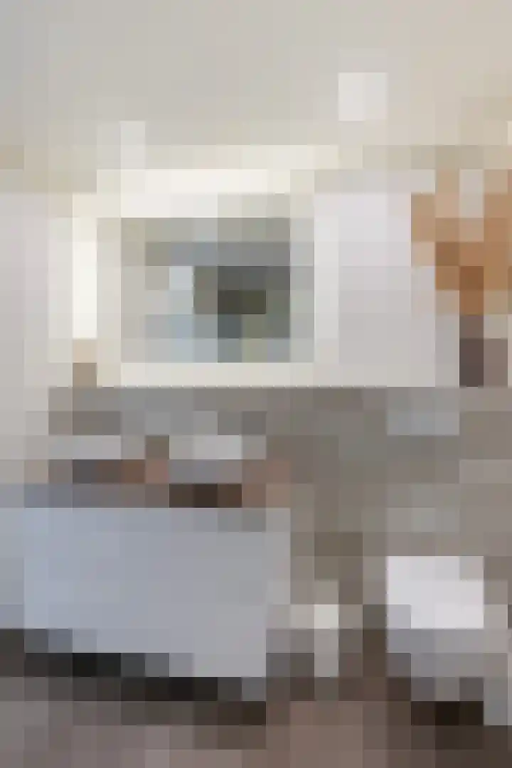 Johan Willem Frisolaan 66 Vlaardingen thumbnail 44