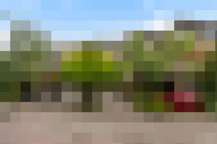 Johan Willem Frisolaan 66 Vlaardingen thumbnail 46