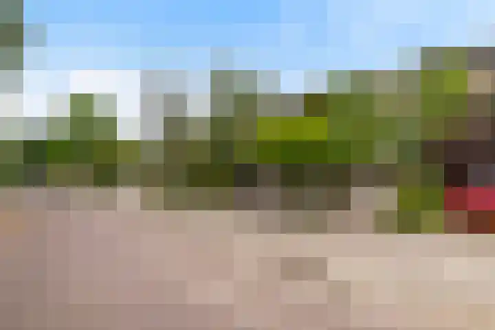 Johan Willem Frisolaan 66 Vlaardingen thumbnail 47