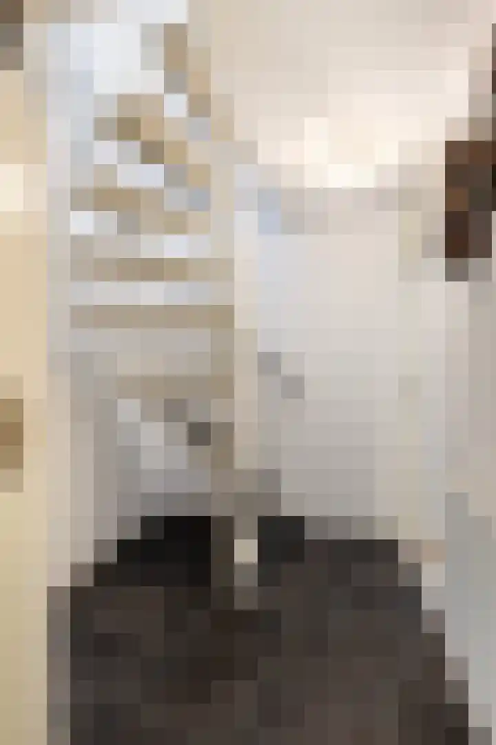 Johan Willem Frisolaan 66 Vlaardingen thumbnail 8