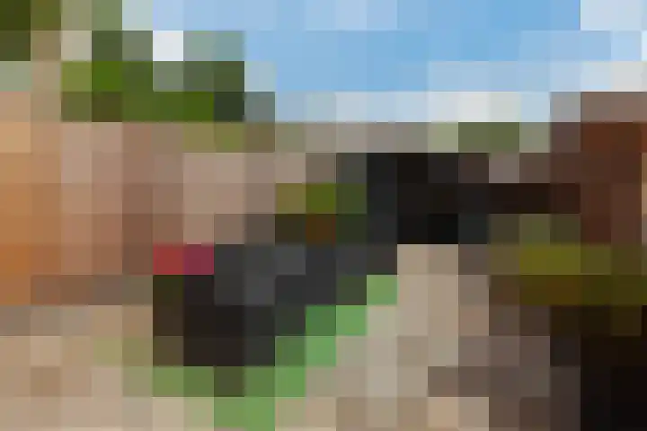 Johan Willem Frisolaan 8 Vlaardingen thumbnail 16