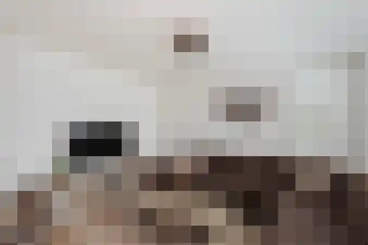 Johan Willem Frisolaan 8 Vlaardingen thumbnail 19