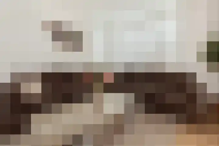 Johan Willem Frisolaan 8 Vlaardingen thumbnail 20