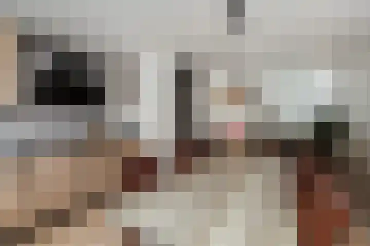 Johan Willem Frisolaan 8 Vlaardingen thumbnail 22