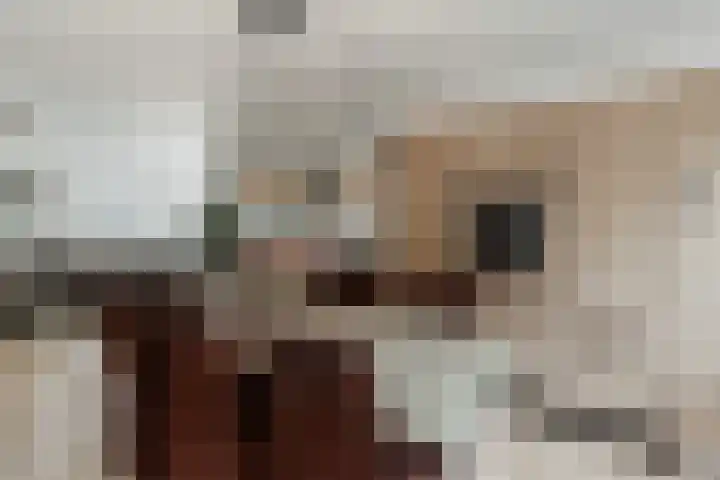 Johan Willem Frisolaan 8 Vlaardingen thumbnail 23
