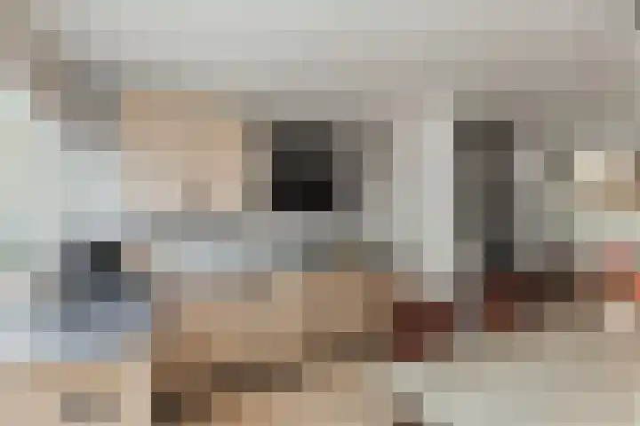 Johan Willem Frisolaan 8 Vlaardingen thumbnail 25