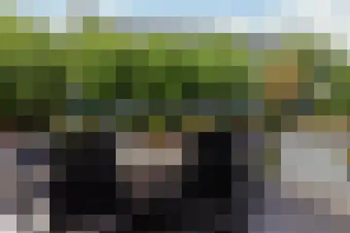 Johan Willem Frisolaan 8 Vlaardingen thumbnail 26