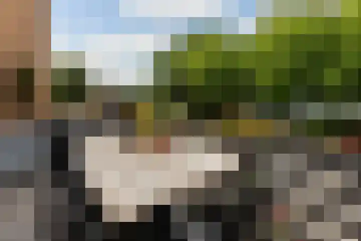 Johan Willem Frisolaan 8 Vlaardingen thumbnail 27