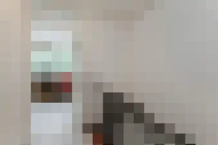 Johan Willem Frisolaan 8 Vlaardingen thumbnail 32