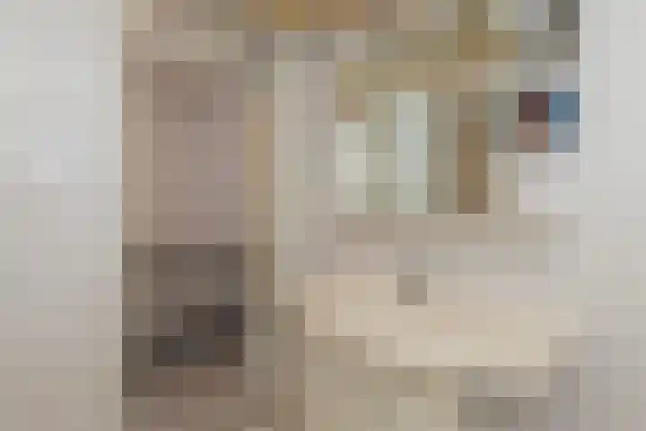 Johan Willem Frisolaan 8 Vlaardingen thumbnail 33