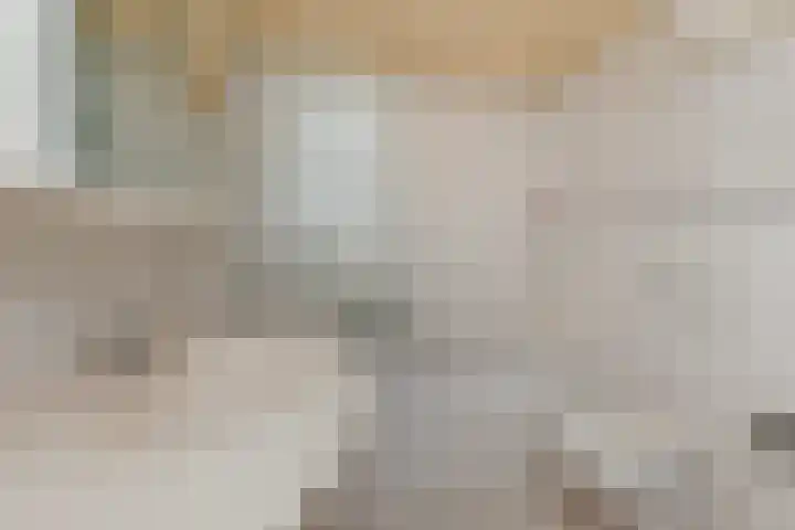 Johan Willem Frisolaan 8 Vlaardingen thumbnail 34