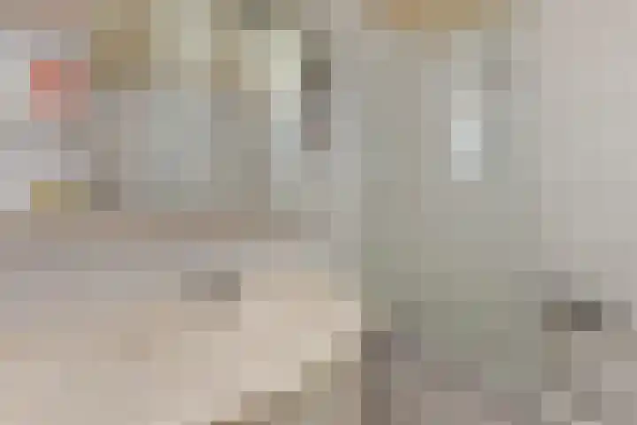 Johan Willem Frisolaan 8 Vlaardingen thumbnail 35