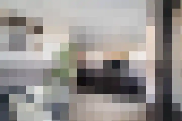 Johan Willem Frisostraat 109 Zoetermeer thumbnail 28