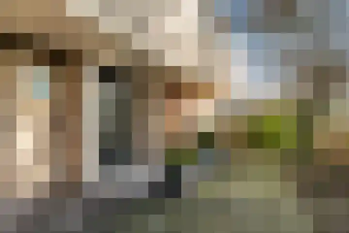 Johan Willem Frisostraat 109 Zoetermeer thumbnail 7