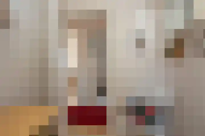 Johan Willem Frisostraat 12 Rijssen thumbnail 15